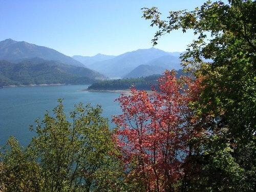 vista